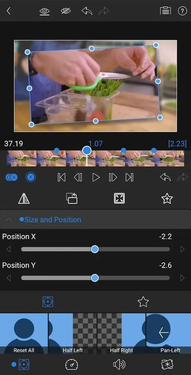 LumaFusion Pro