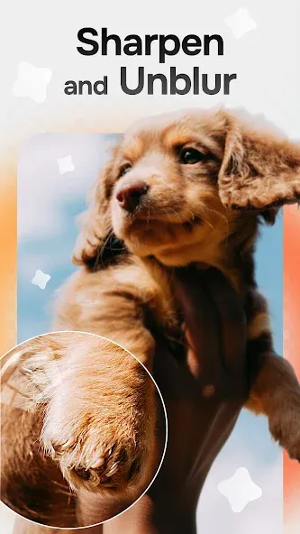 Citrus 1 Tap Photo Enhancer AI