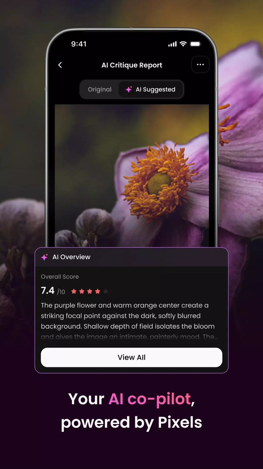 500px-Photo Sharing Community