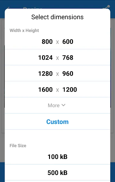 Photo & Picture Resizer Photo & Picture Resizer