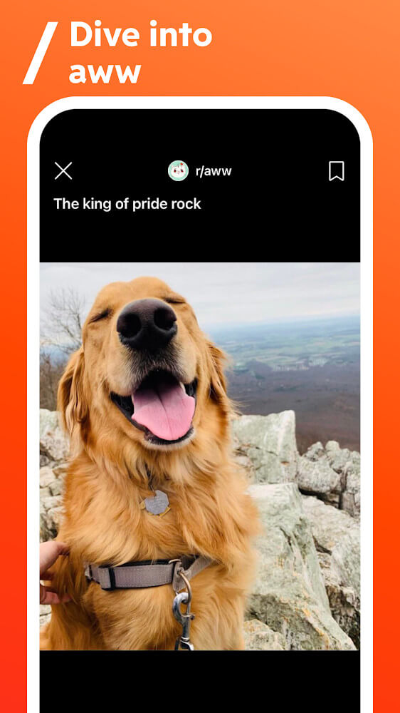 Reveddit