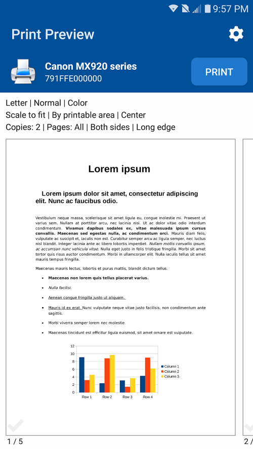 NokoPrint 5.20.8