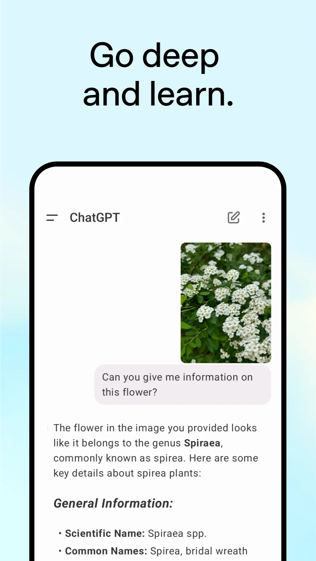 ChatGPT 4o APK