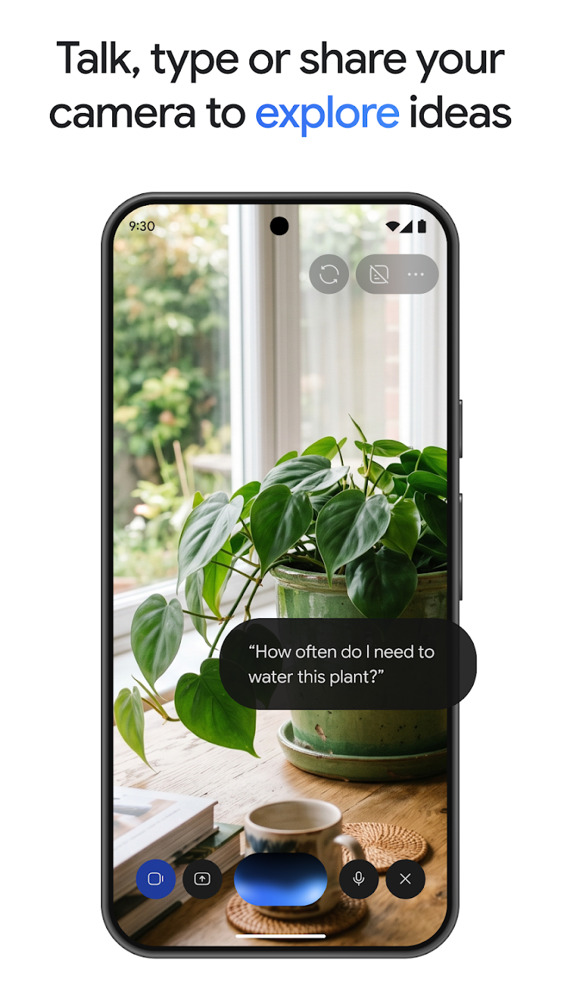 Google Gemini