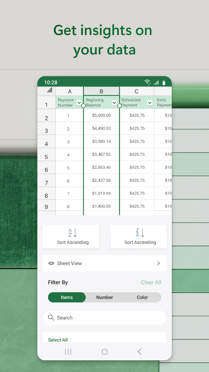 Microsoft Excel