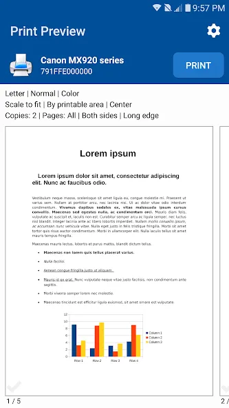 NokoPrint