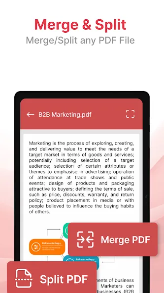 A1 PDF