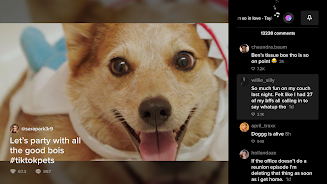 TikTok MOD APK Download