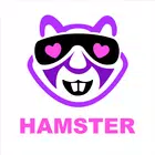 Hamster Video Chat-Adult chat