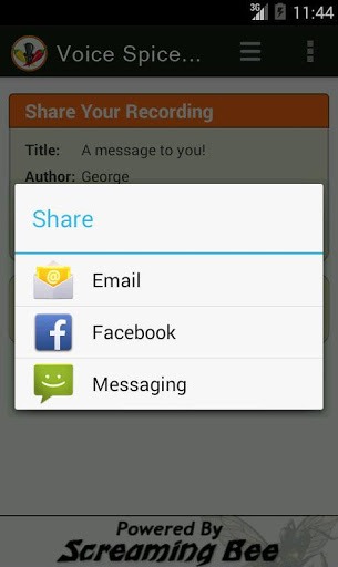 Voice Spice Online Recorder