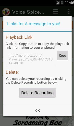 Voice Spice Online Recorder
