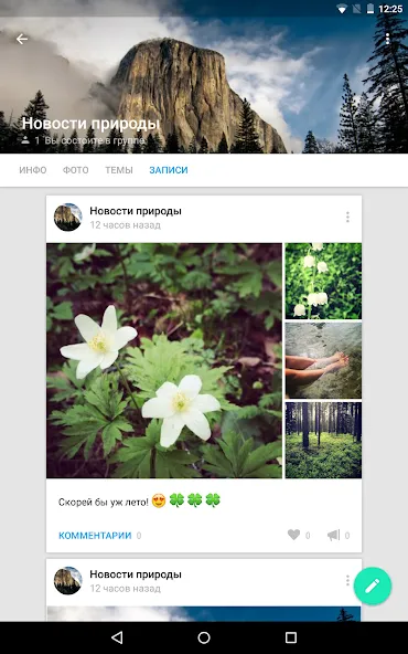 VK Amberfog VK Amberfog
