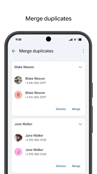 Contact + Contact +