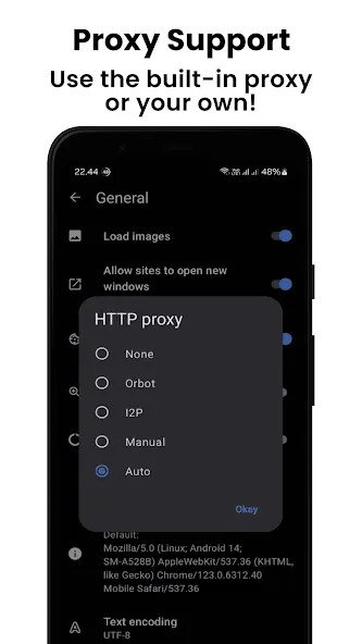 Private Proxy Browser Hub