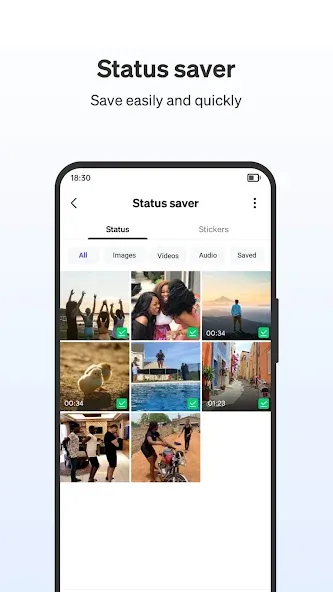 Phoenix Browser