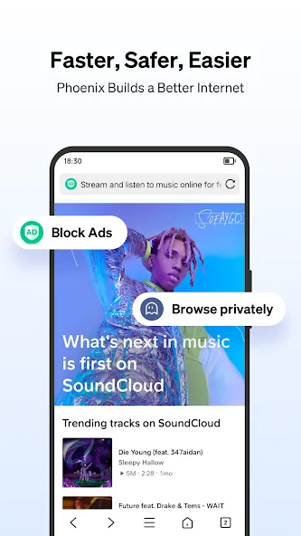 Phoenix Browser