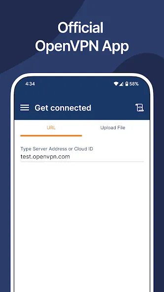 OpenVPN Client