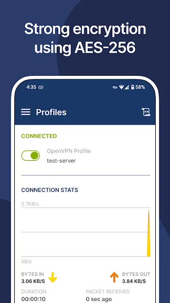 OpenVPN Client