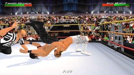 Wrestling Revolution