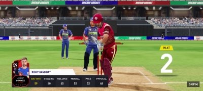 Dream Cricket