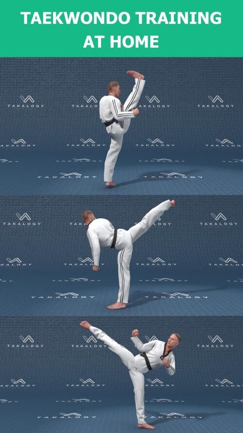 Mastering Taekwondo at Home v1.4.11