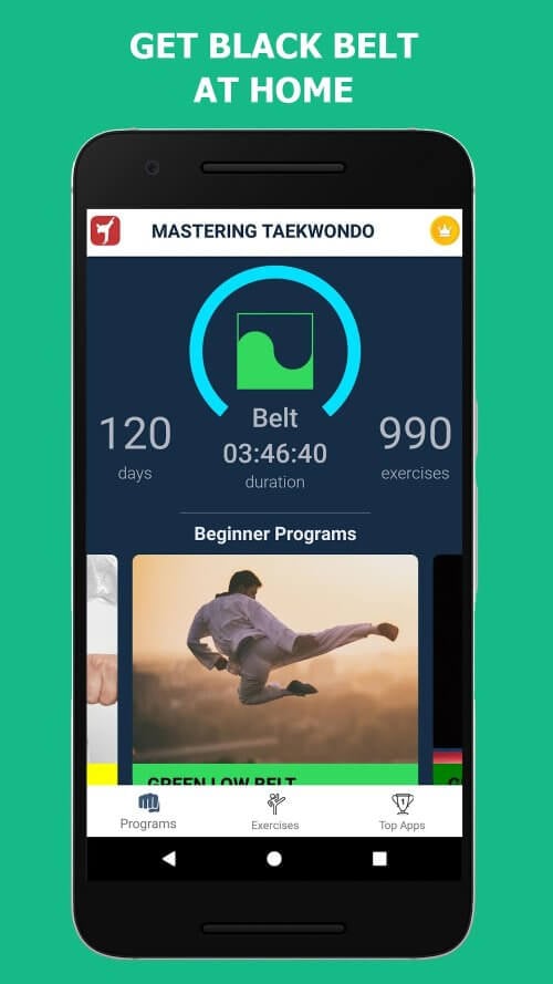 Mastering Taekwondo at Home v1.4.11