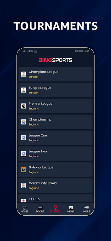 Bingsport
