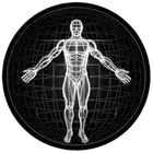 BodBot