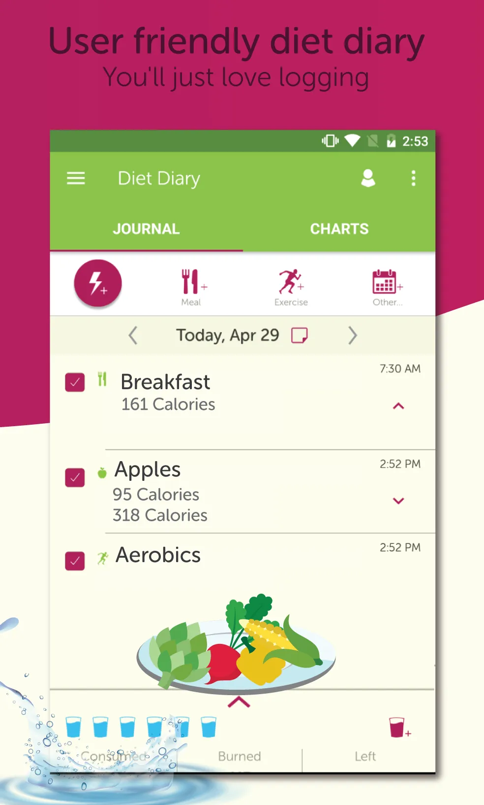 My Diet Coach