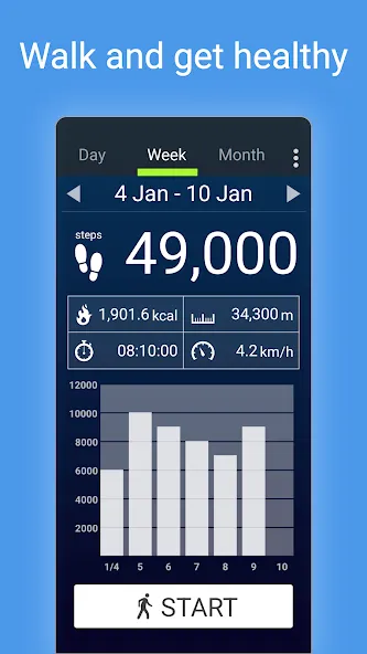 Pedometer