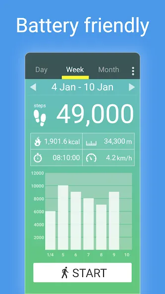 Pedometer