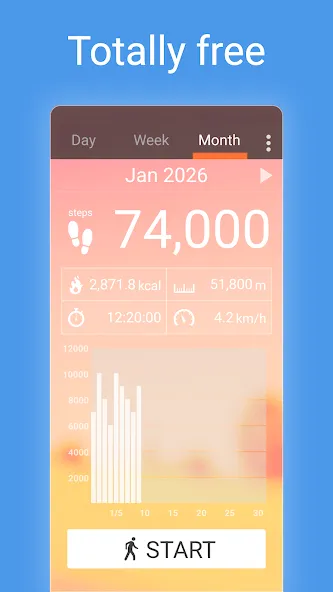Pedometer
