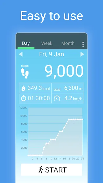 Pedometer