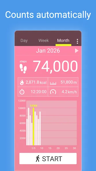 Pedometer