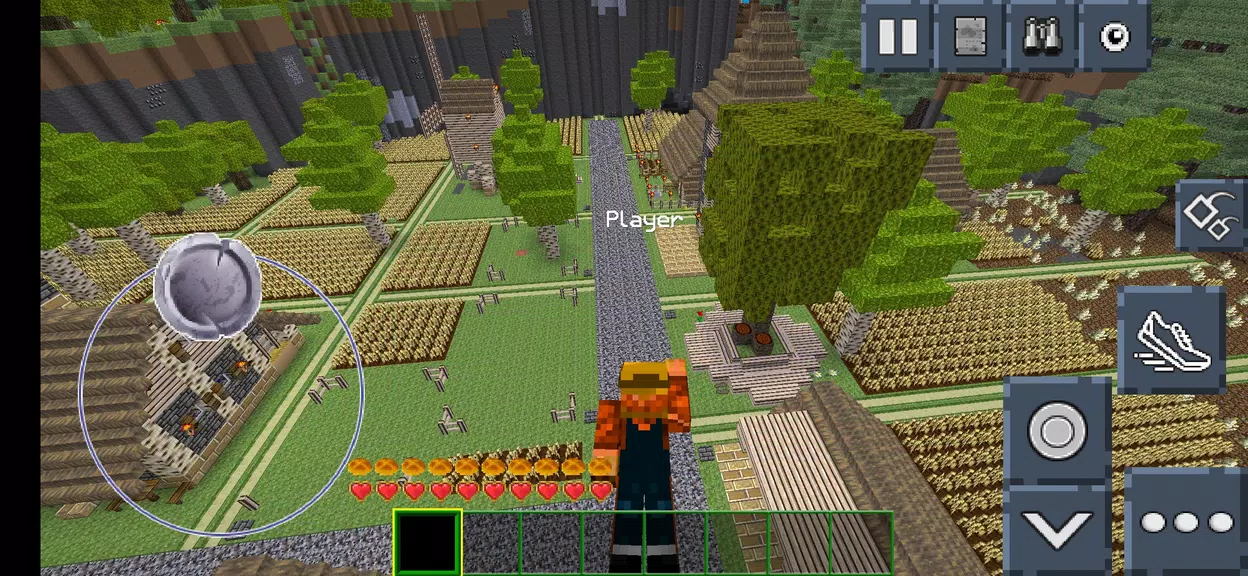 CubeCraft Castle Adventure Free
