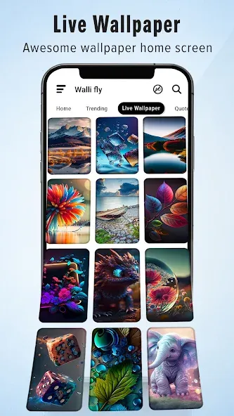 Wallpapers HD & 4K Backgrounds Wallpapers HD & 4K Backgrounds