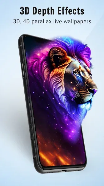 Wallpapers HD & 4K Backgrounds Wallpapers HD & 4K Backgrounds
