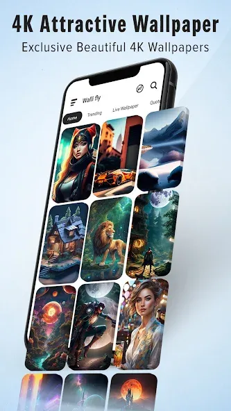 Wallpapers HD & 4K Backgrounds Wallpapers HD & 4K Backgrounds