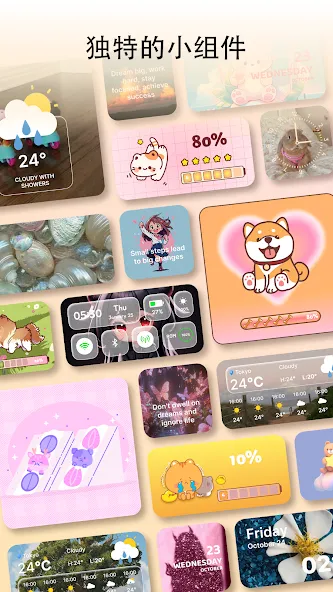 Theme, Widget & Icon changer