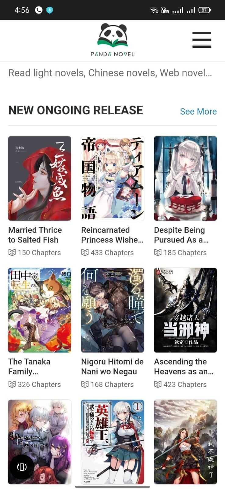 Panda Novel