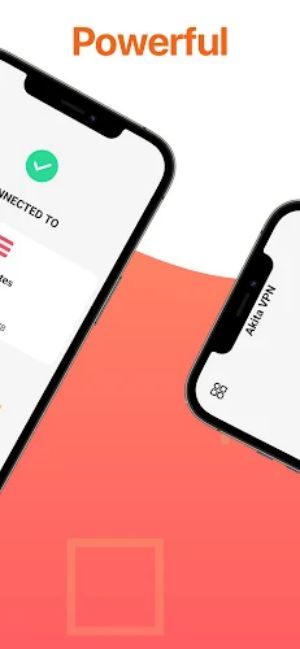 Akita VPN