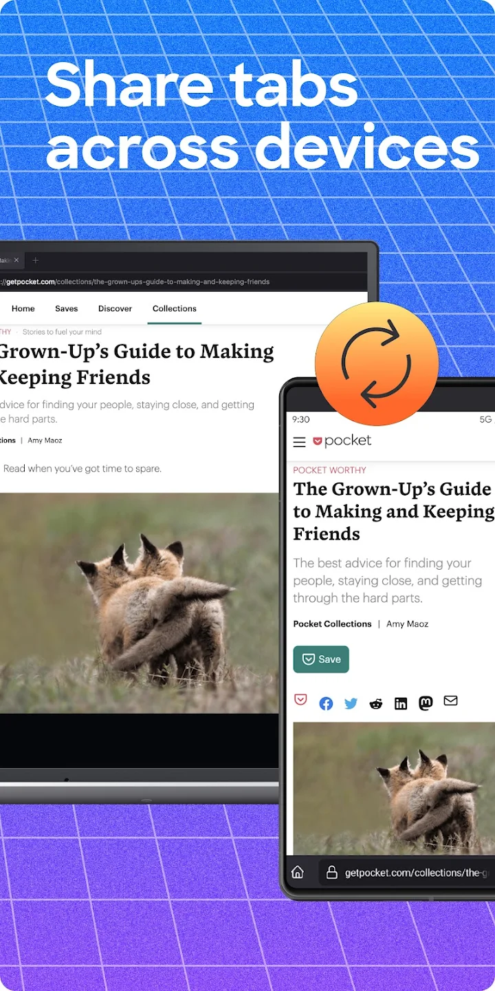 Firefox Browser