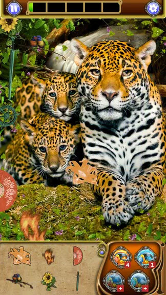 Hidden Object: Animal World Free