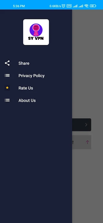 SY VPN