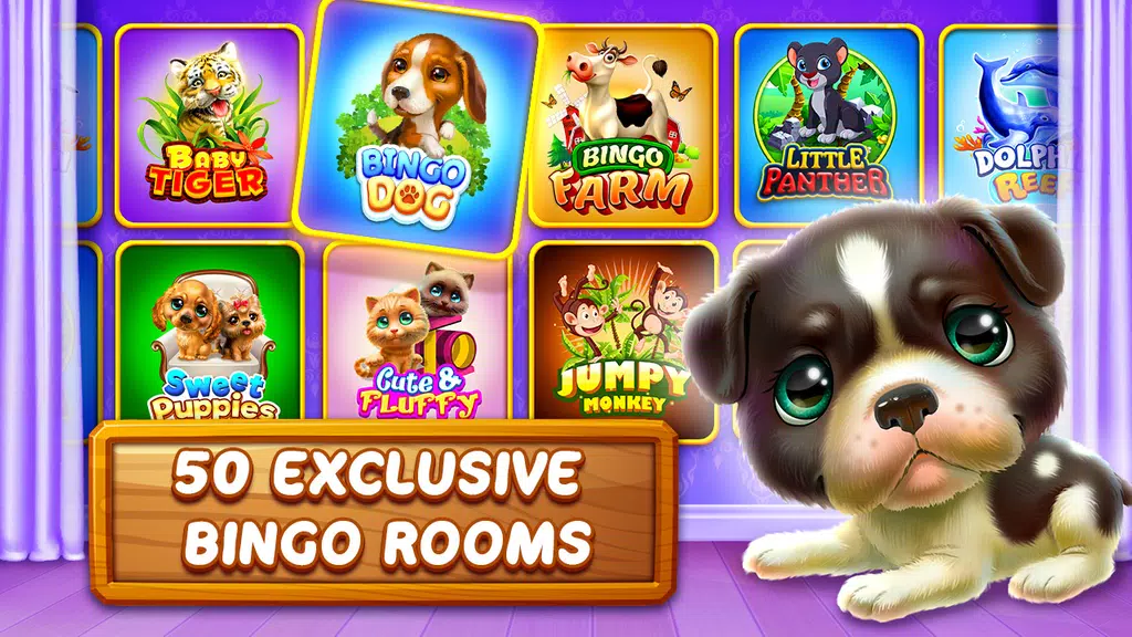 Bingo Dog - Fun Game 2022