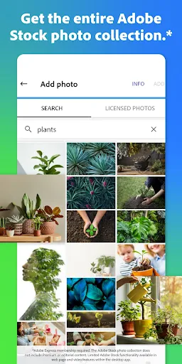Adobe Express APK