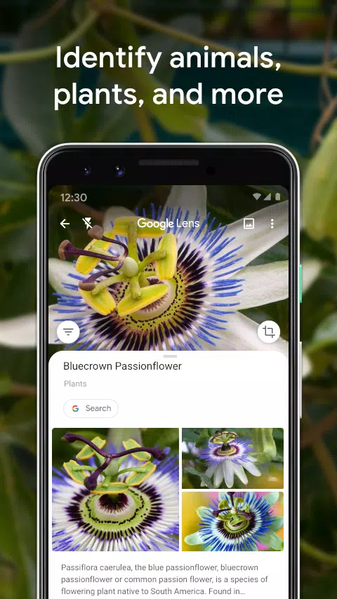 Google Lens Mod