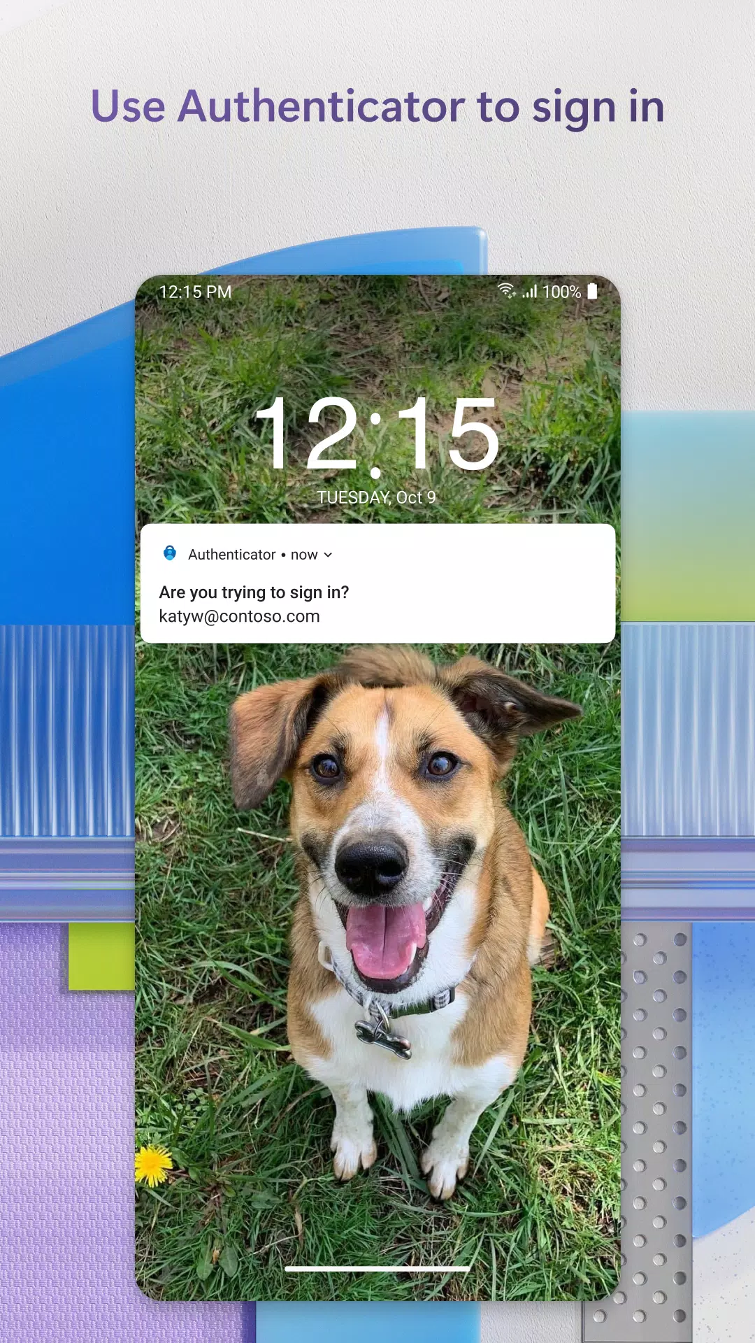 Microsoft Authenticator Mod