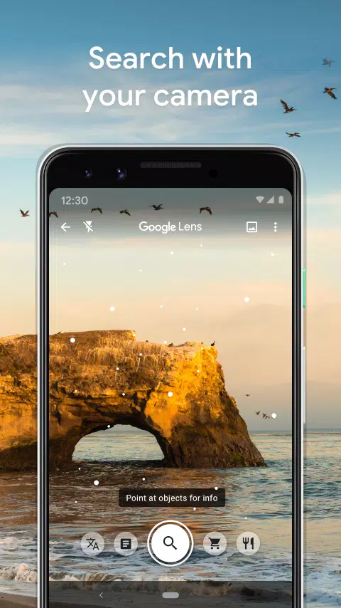 Google Lens Mod