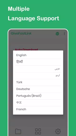 GiveFastLink
